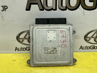 Блок управления efi Kia SORENTO XM 391032G080 2 ракурс