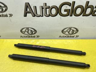 Амортизатор двери BMW X5 E70 N52B30BF 51247294199 1 ракурс Амортизатор двери BMW X5 E70 N52B30BF 51247294199 1 ракурс