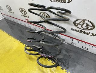 Пружина задняя NISSAN Terrano TR50 ZD30DDTI 550200W012 2 ракурс