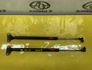Амортизатор багажника TOYOTA LAND CRUISER URJ202 1URFE 6895069145 1 ракурс