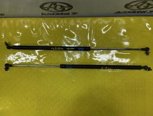 Амортизатор капота TOYOTA LAND CRUISER URJ202 1URFE 5344069085 1 ракурс