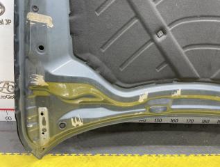Капот AUDI Q3 8U CPSA 8U0823029B 2 ракурс