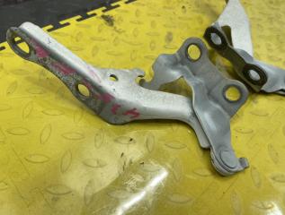 Петля капота TOYOTA VOLTZ ZZE138 1ZZFE 5341001060 2 ракурс