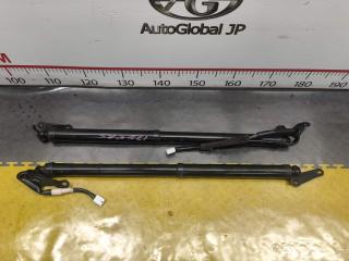 Амортизатор багажника LEXUS NX200T AGZ15 8ARFTS 689600WA20 1 ракурс