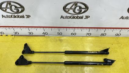 Амортизатор багажника TOYOTA RAIZE A202A WAVEX 68950B1160 1 ракурс