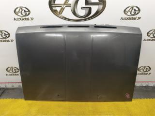 Капот NISSAN Terrano LBYD21 TD27 6510092G35 1 ракурс
