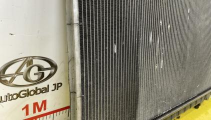 Радиатор основной NISSAN SAFARI VRGY61 TD42T 21410VB206 5 ракурс