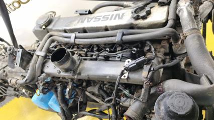 Двигатель NISSAN SAFARI VRGY60 TD42 1010206J04 4 ракурс Двигатель NISSAN SAFARI VRGY60 TD42 1010206J04 4 ракурс