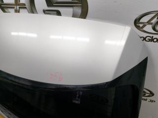 Дверь 5-я LEXUS NX200T AGZ15 8ARFTS 6700578050 4 ракурс