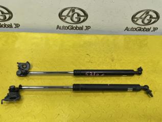 Амортизатор капота TOYOTA LAND CRUISER FZJ80 1FZFE 5344069015 1 ракурс