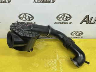 Корпус воздушного фильтра NISSAN SAFARI VRGY61 TD42T 16500VB200 1 ракурс
