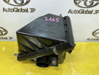Корпус воздушного фильтра NISSAN Terrano WHYD21 VG30E 1650088G10 1 ракурс