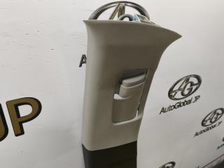 Накладка на стойку кузова левая TOYOTA RAV4 MXAA54 M20AFKS 6242042100B1 2 ракурс Накладка на стойку кузова левая TOYOTA RAV4 MXAA54 M20AFKS 6242042100B1 2 ракурс