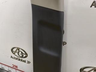 Накладка на стойку кузова левая TOYOTA RAV4 MXAA54 M20AFKS 6242042100B1 4 ракурс Накладка на стойку кузова левая TOYOTA RAV4 MXAA54 M20AFKS 6242042100B1 4 ракурс