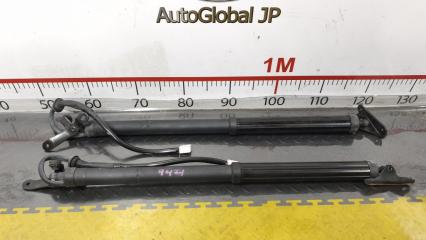 Амортизатор багажника TOYOTA RAV4 MXAA54 M20AFKS 6892042020 1 ракурс