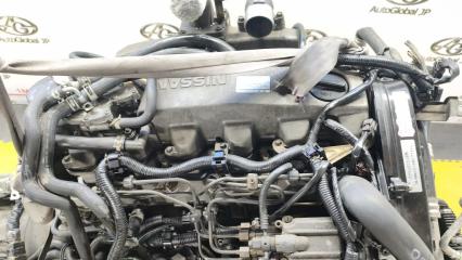 Двигатель NISSAN SAFARI WYY61 RD28 10102VB3A5 3 ракурс Двигатель NISSAN SAFARI WYY61 RD28 10102VB3A5 3 ракурс