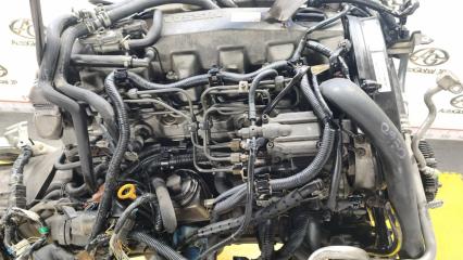 Двигатель NISSAN SAFARI WYY61 RD28 10102VB3A5 4 ракурс Двигатель NISSAN SAFARI WYY61 RD28 10102VB3A5 4 ракурс