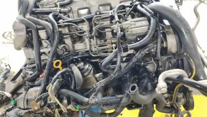 Двигатель NISSAN SAFARI WYY61 RD28 10102VB3A5 5 ракурс Двигатель NISSAN SAFARI WYY61 RD28 10102VB3A5 5 ракурс