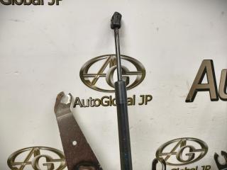 Петля капота BMW X5 F15 N57D30A 41007381782 3 ракурс