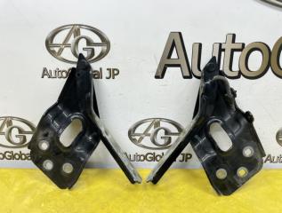Петля капота Volkswagen TOUAREG NF 7P CGEA 7P6823301 1 ракурс