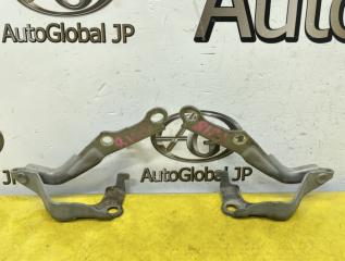 Петля капота TOYOTA LAND CRUISER HDJ101 1HDFTE 5341060050 1 ракурс