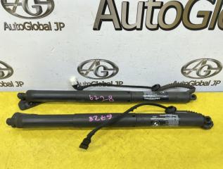 Амортизатор капота BMW X5 F15 N55B30A 51247294469 1 ракурс