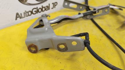 Петля капота HONDA FREED+ GB7 LEB 60120TDK000ZZ 2 ракурс