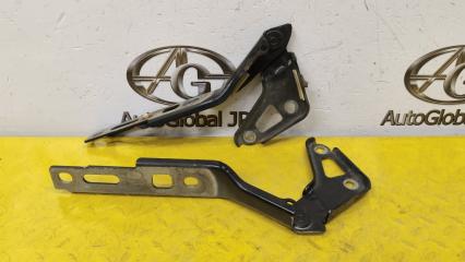 Петля капота AUDI Q7 4L BAR 4L0823301 1 ракурс