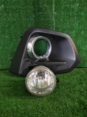 Туманка передняя левая SUBARU IMPREZA контрактная Туманка передняя левая SUBARU IMPREZA