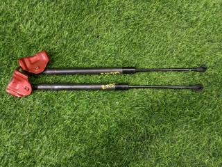 Запчасть амортизатор задней двери задний RENAULT LUTECIA