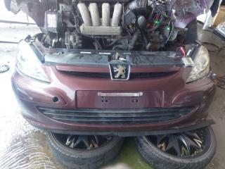 Nose cut PEUGEOT 307 2007