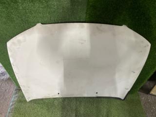 Капот BLUEBIRD SYLPHY TG10