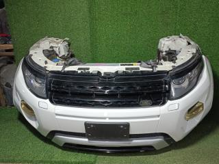 Nose cut LAND ROVER Range Rover Evoque 2014