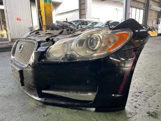 Nose cut XF