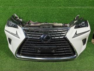 Nose cut LEXUS NX200T 2019.12