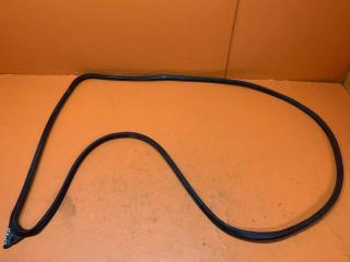 Запчасть уплотнитель двери задний правый Honda Ridgeline 2008