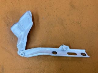 Запчасть петля капота правая Audi Q5 2017