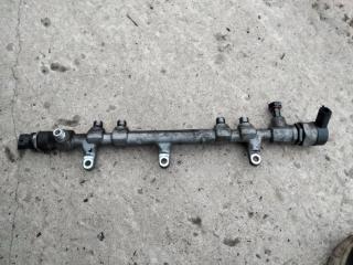 Топливная рампа рейка Kia Sorento 2010