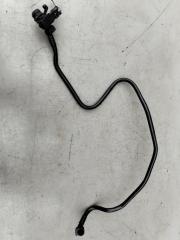 Трубка вакуумная Skoda Octavia 2017