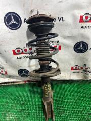 Запчасть стойка подвески передняя правая TOYOTA VOLTZ 2003