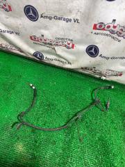 Запчасть датчик абс задний правый TOYOTA YARIS CROSS 2021