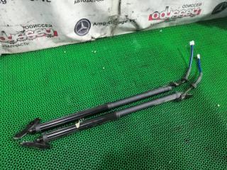 Амортизатор задней двери TOYOTA HARRIER 2021