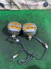 Туманка контрактная Туманка