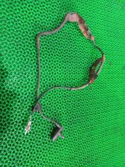 Датчик абс передний правый TOYOTA HILUX SURF 1996