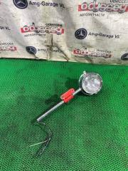 Туманка контрактная Туманка