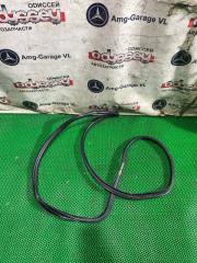 Запчасть уплотнительная резинка двери задняя правая LEXUS NX300H 2015