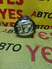 Запчасть фара противотуманная передняя правая Toyota Roomy
