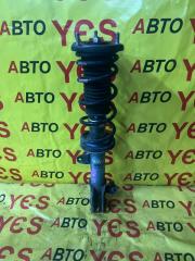 Фото запчасти стойка подвески задняя правая Toyota MR-S 1999-2007 контрактная запчасть Запчасть стойка подвески задняя правая Toyota MR-S 1999-2007
