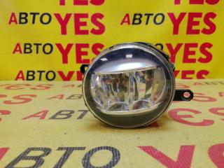 Фара противотуманная передняя левая Lexus IS250 2005-2013