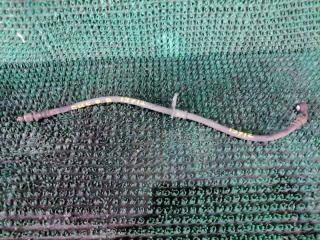 Шланг тормозной задний правый SUBARU FORESTER 2009